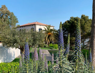 Jardí a Begur, Jardins Arnau