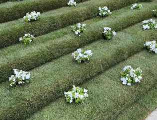 Begur en Flor 2021, Jardins Arnau