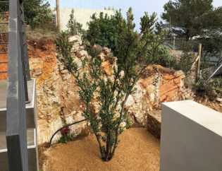 Jardí a Mas Prats Begur, Jardins Arnau