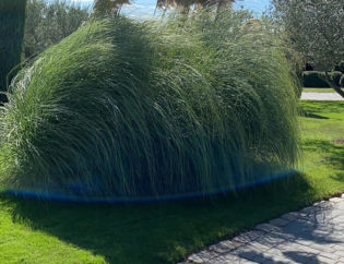 Jardí a Torrent 03 Begur, Jardins Arnau