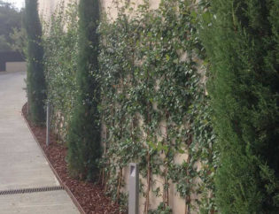 Aiguablava - Begur, Jardins Arnau