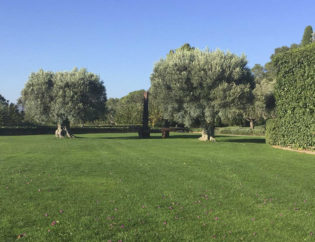 Jardí a Pals, Jardins Arnau