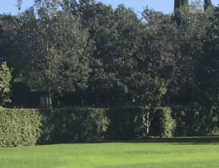 Jardí a Pals, Jardins Arnau