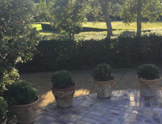 Jardí a Pals, Jardins Arnau