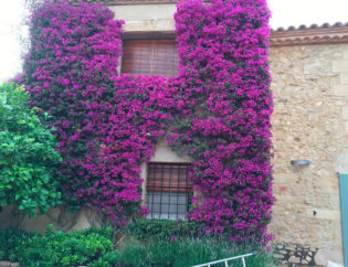 Jardí a Esclanyà, Jardins Arnau