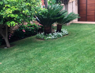 Jardí a Esclanyà, Jardins Arnau