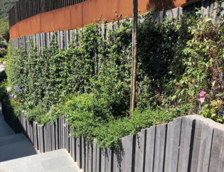 Projecte Sa Tuna - Begur, Jardins Arnau