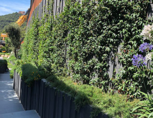 Projecte Sa Tuna - Begur, Jardins Arnau