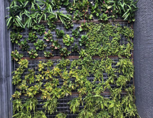 Projecte Sa Tuna - Begur, Jardins Arnau