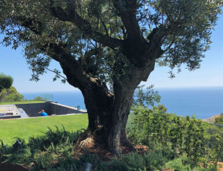 Projecte Sa Tuna - Begur, Jardins Arnau