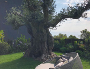 Projecte Sa Tuna - Begur, Jardins Arnau