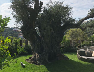 Projecte Sa Tuna - Begur, Jardins Arnau