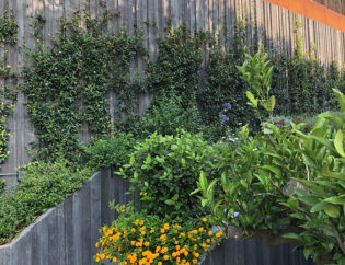 Projecte Sa Tuna - Begur, Jardins Arnau