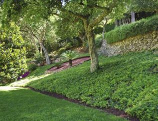 Ses Costes - Begur, Jardins Arnau