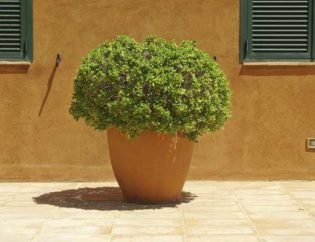 Ses Falugues Aiguablava 2 - Begur, Jardins Arnau