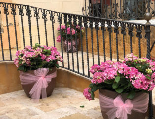 Temps de flor - Begur, Jardins Arnau